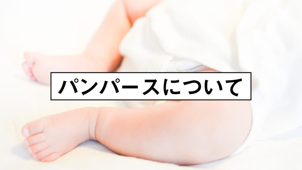 おすすめメーカーのパンパース画像
